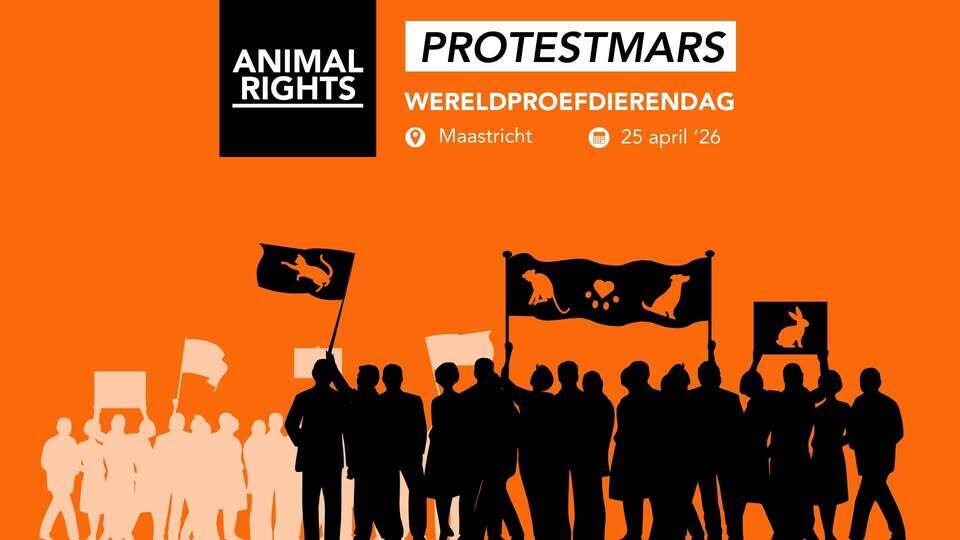 Protestmars Maastricht Wereldproefdierendag