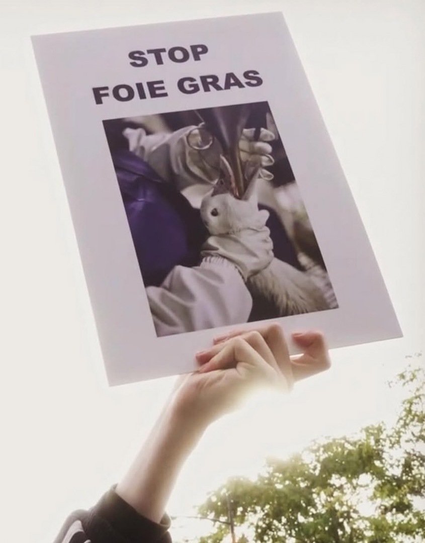 Pressure Campaign (AR x AfJ) | Stop Foie Gras protest bij restaurant Anna&Fred